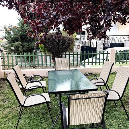 Dimitra'S And Nasia'S Villa Psakoudia Dış mekan fotoğraf