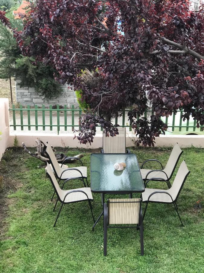 Dimitra'S And Nasia'S Villa Psakoudia Dış mekan fotoğraf