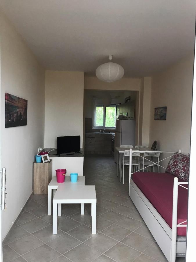 Dimitra'S And Nasia'S Villa Psakoudia Dış mekan fotoğraf